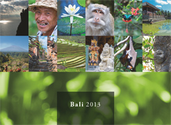 Bali 2013