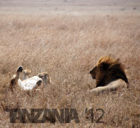 Tanzanie 2012